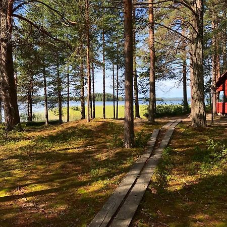 Luontohotelli Sapson Helmi Sotkamo Exterior foto